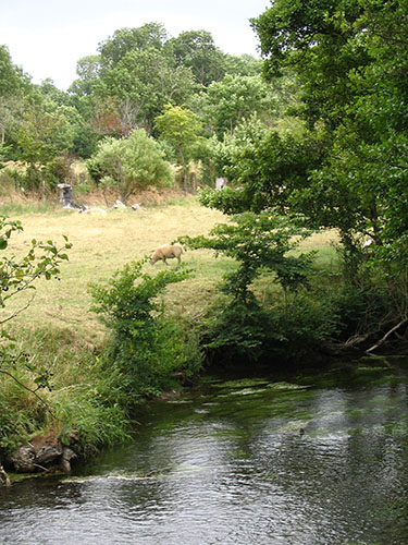 Rivière au Manoir