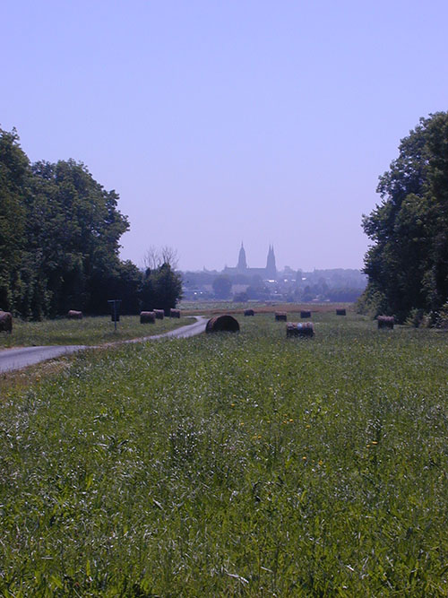 Vue d'un champ à Magny-en-Bessin