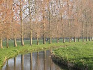 Vaux-sur-Aure