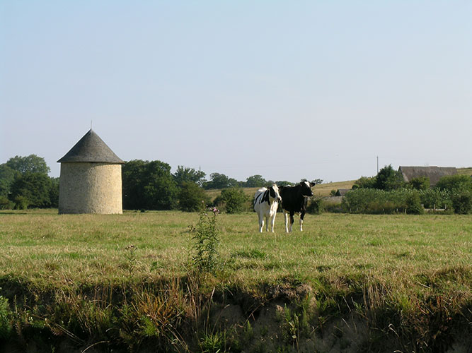 Champ à Saint-Loup-Hors