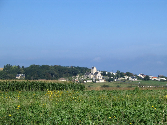 Vue du village de Saint-Cômes-de-Fresné depuis un champ