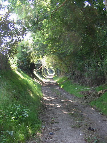 Chemin de campagne à Ryes