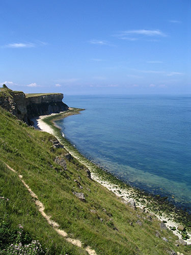 Vue de la plage et des falaises à Manvieux