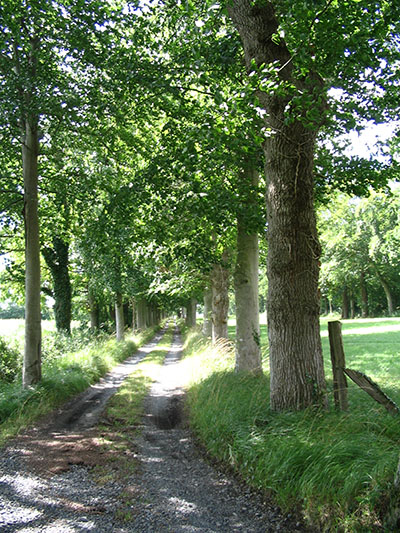 Chemin de campagne à Agy