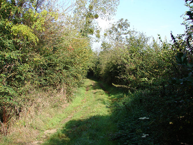 Chemin de campagne à Vaux-sur-Aure